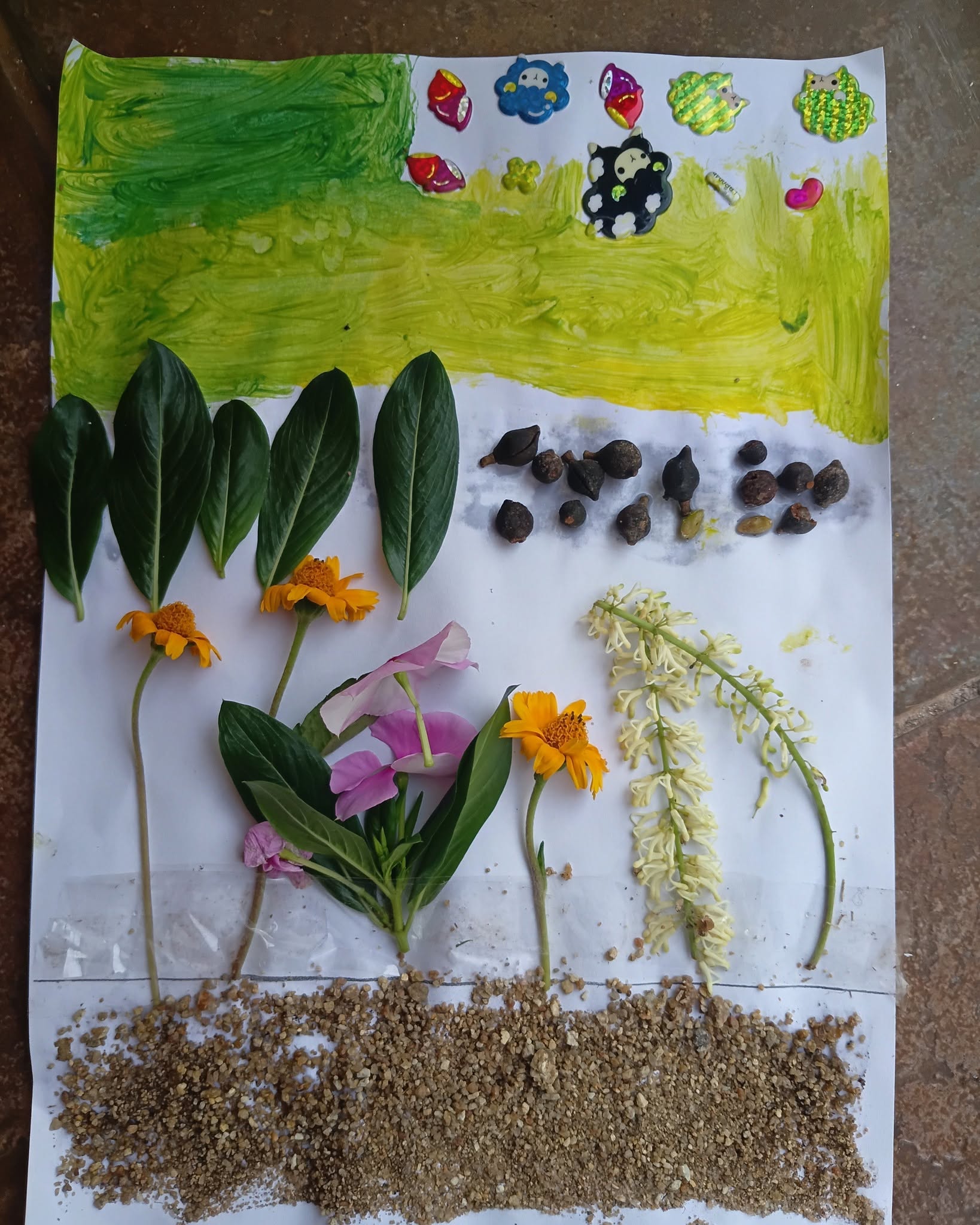 ECD Social Development